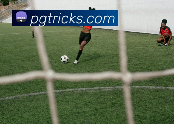 pg电子平台生态图